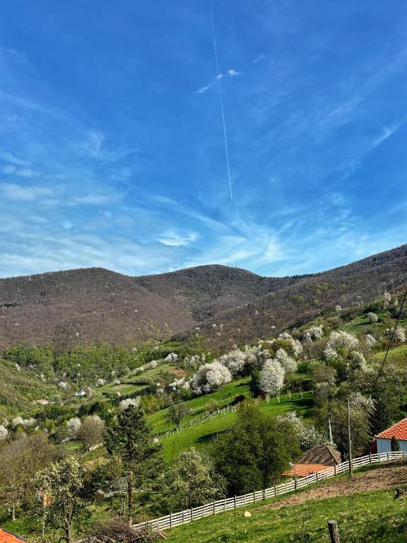 Pokrajina v okolici brunarice