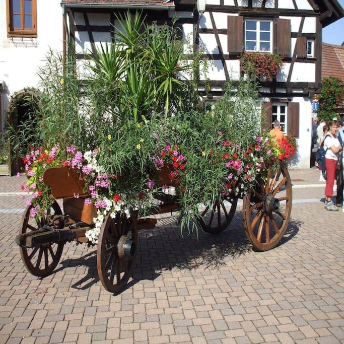 Zahrada ubytování Gîte ''Les Bleuets''