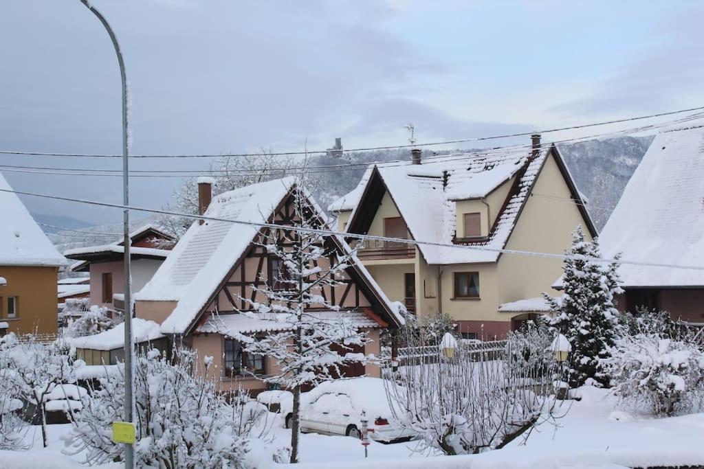 Gîte ''Les Bleuets'' v zimě