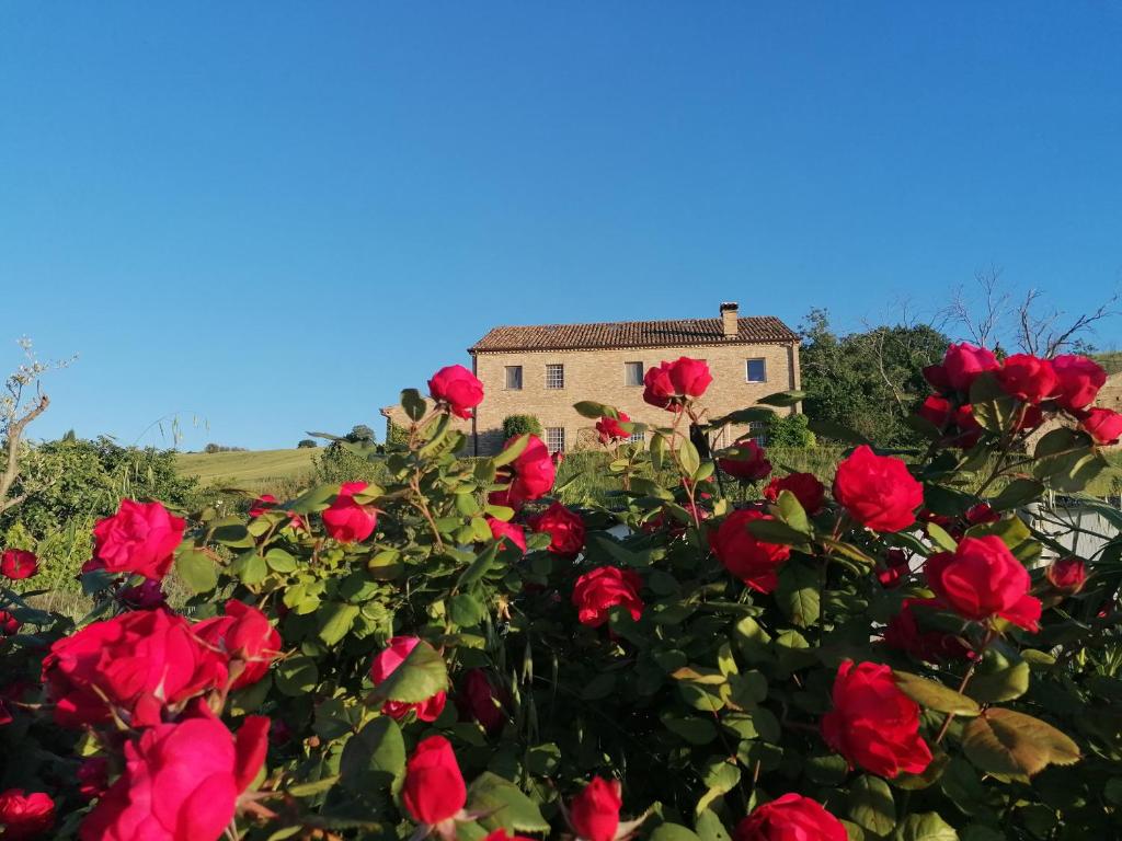 Ogród w obiekcie Il Giardino nella Valle