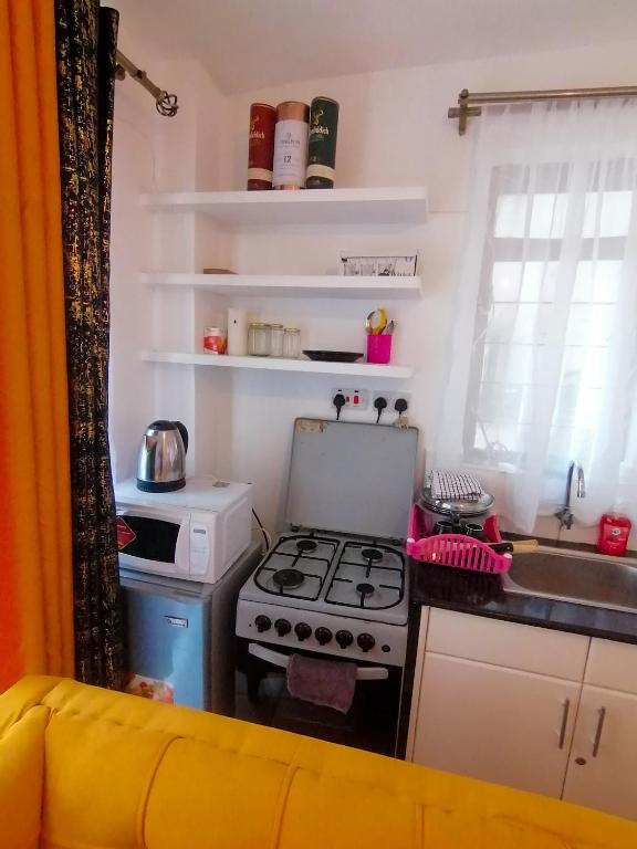 Kuchyň nebo kuchyňský kout v ubytování Classy Studio Apartment racecourse Gardens