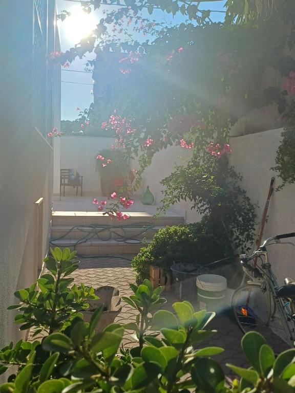 A garden outside Villa Enza - A 150 passi dal mare