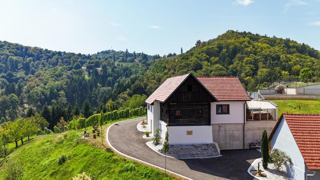 una vista aerea di una casa con una montagna sullo sfondo di Chalet Sgarz a Kitzeck im Sausal
