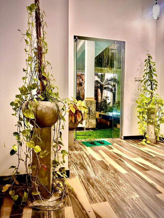 St CLAIRE'S GREEN Negombo Hotel & Hostels - 19