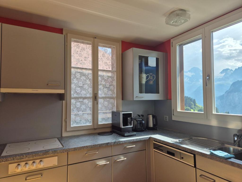 Kuchyň nebo kuchyňský kout v ubytování Chalet Aargovia South