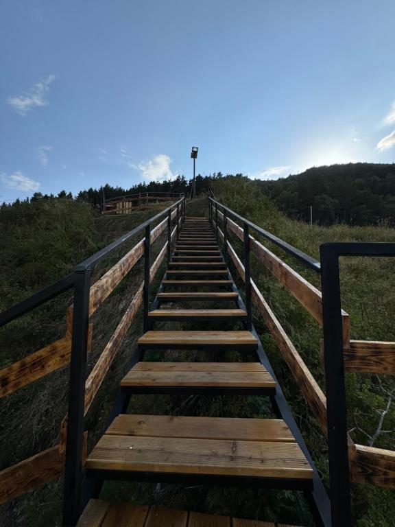 Příroda nedaleko kempu
