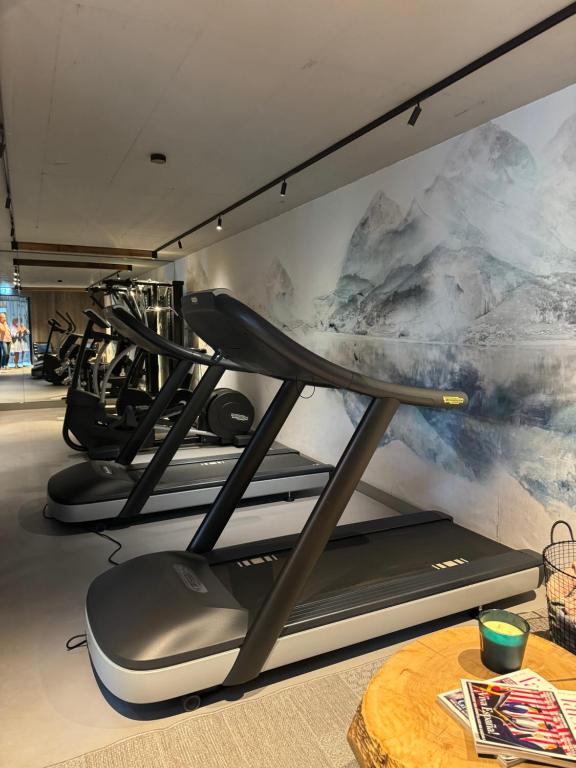 Fitness centrum a/nebo fitness zařízení v ubytování GOING TRIPLE A apartments NORTH