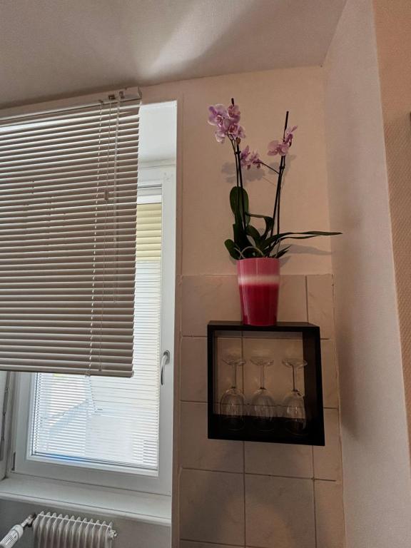 L Alsacienne F2 centre ville – photo 51