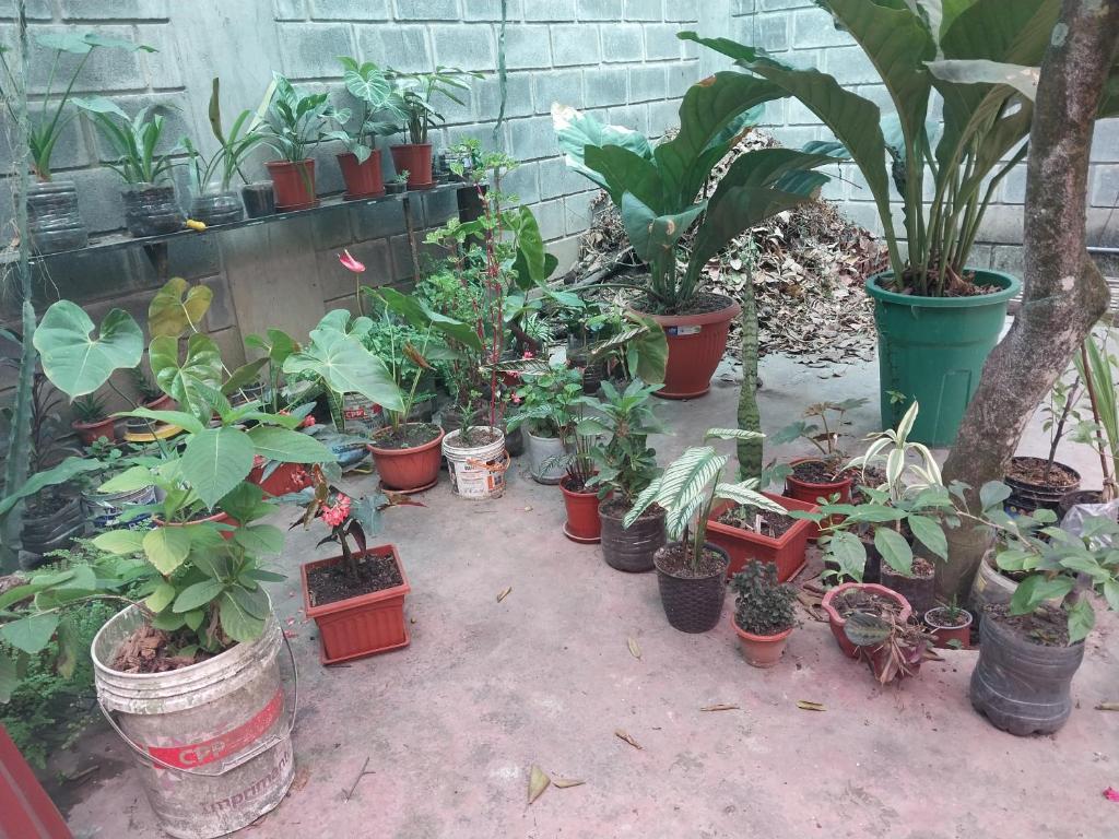 Departamento dos camas