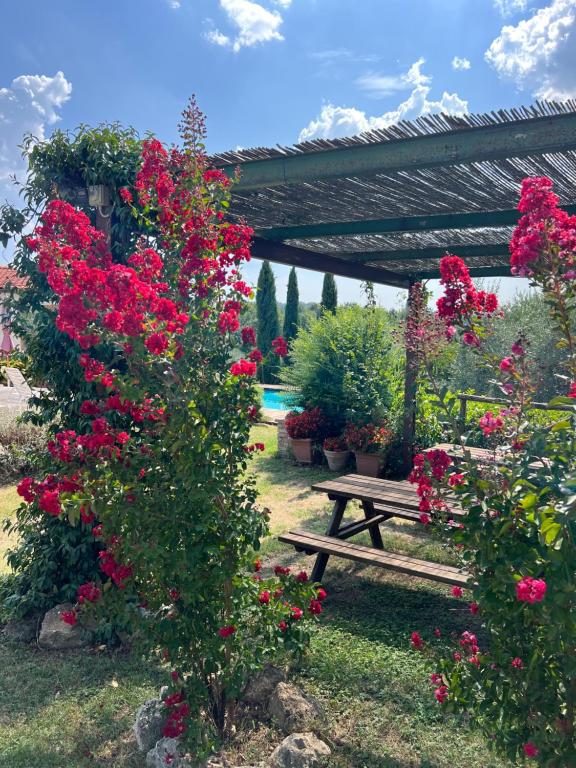 Zahrada ubytování B&B Il Pettirosso di Siena