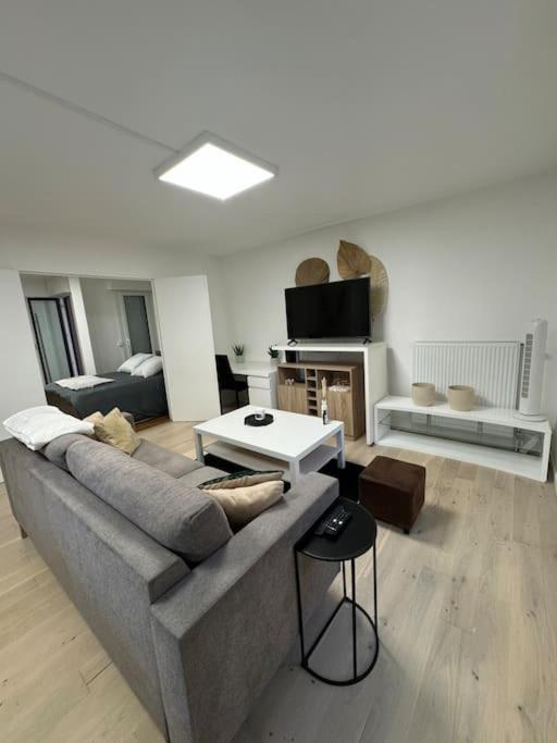 un salon avec un canapé et une table dans l'établissement Confort et charme aux Arcades, à Montigny-le-Bretonneux