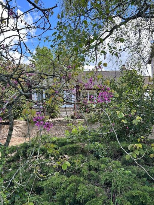 un bâtiment avec des fleurs violettes devant un arbre dans l'établissement Le petit cocon de Breuilpont, à Breuilpont