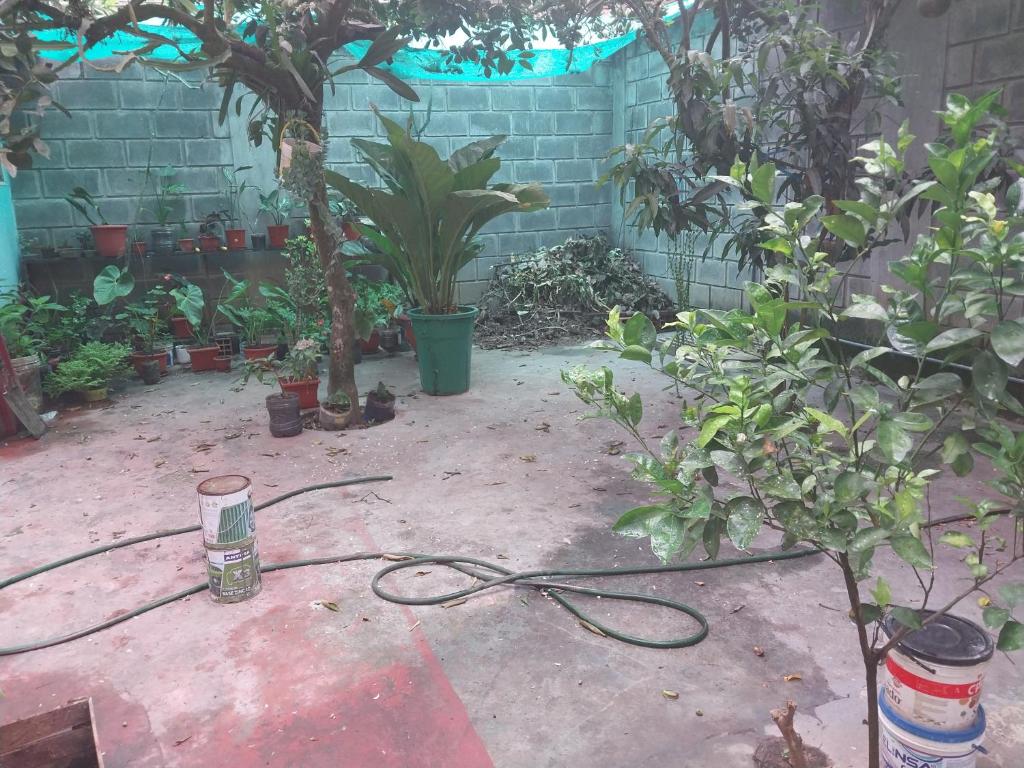 Departamento dos camas