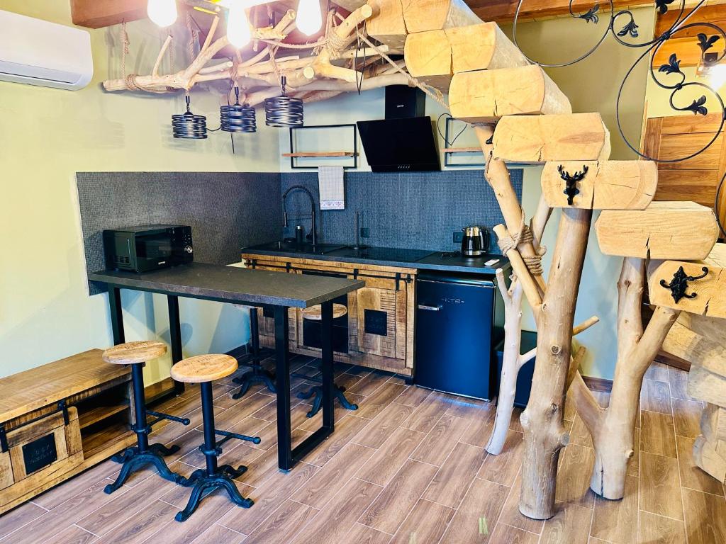 Kuchyň nebo kuchyňský kout v ubytování VITALITY Resort Podhájska