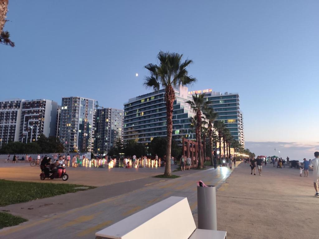 une rue de la ville avec des palmiers et des bâtiments dans l'établissement By the sea16, à Batoumi