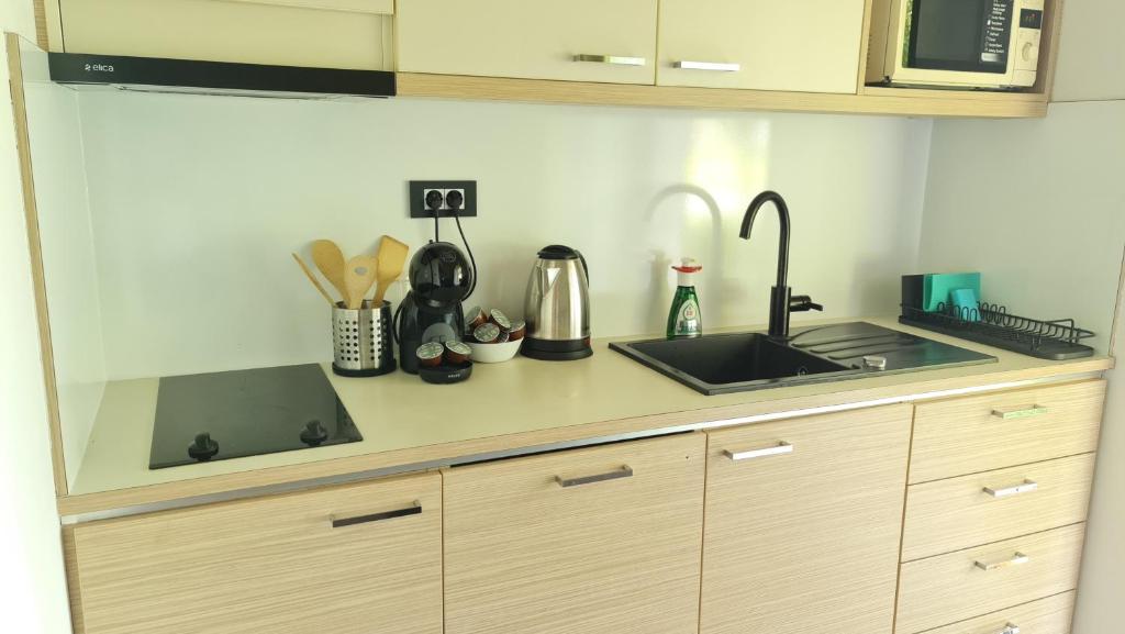 Kuchyň nebo kuchyňský kout v ubytování Apartma Pikabooth