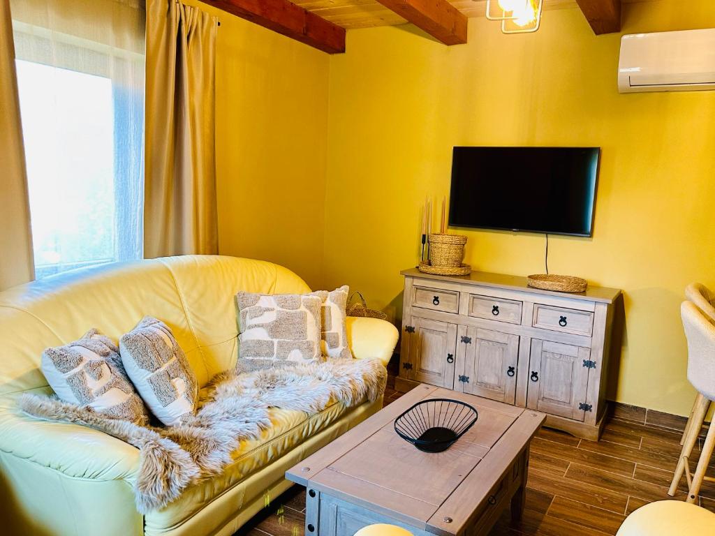 TV a/nebo společenská místnost v ubytování VITALITY Resort Podhájska