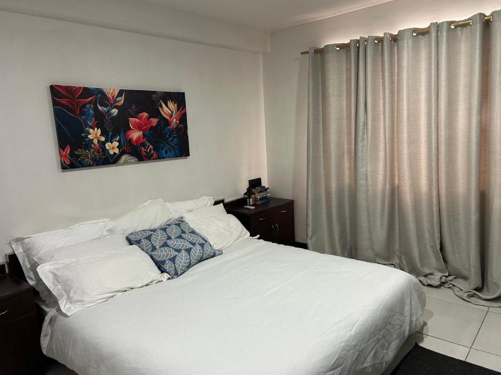 Postel nebo postele na pokoji v ubytování 2 Bedroom Apartment in Suva City