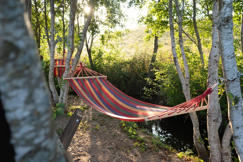 Příroda nedaleko luxury tent
