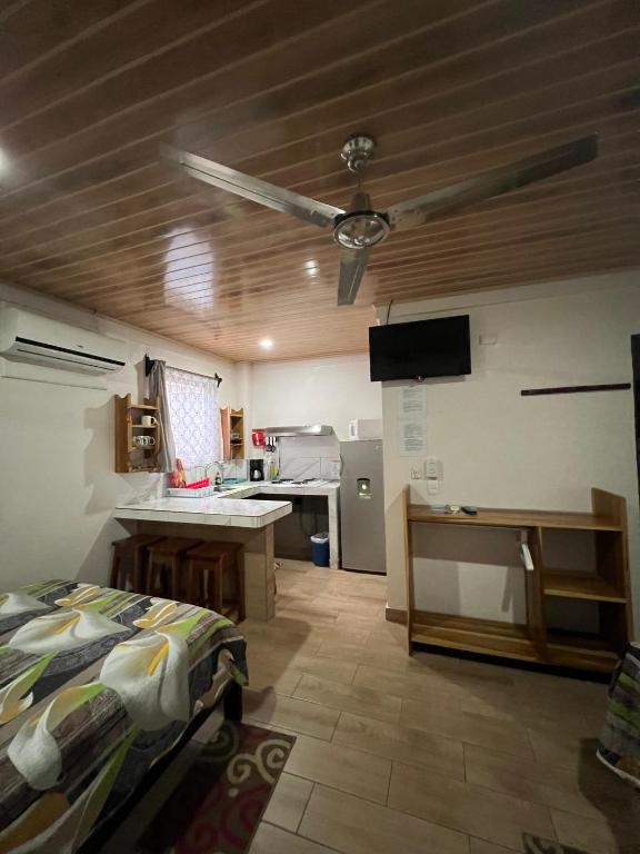 Kuchyň nebo kuchyňský kout v ubytování Apartamentos Mansión Tropical