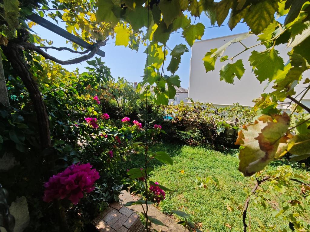 Deluxe Apartment and Studio "Nona Fa" - 13