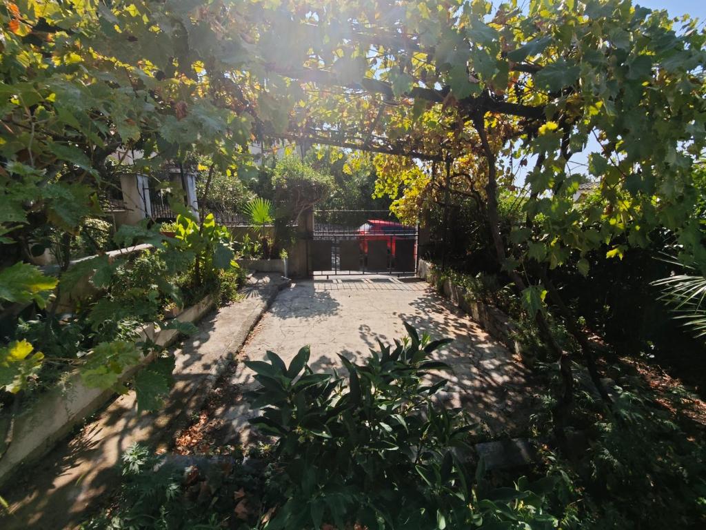 Deluxe Apartment and Studio "Nona Fa" - 2