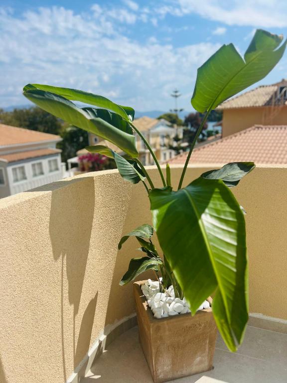 Balkón nebo terasa v ubytování Eva Beach Hotel Lefkada