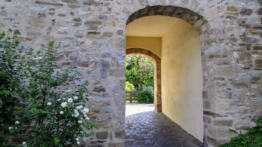 Alte Stadtmauer - Apartment - 15