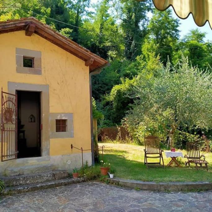 Ogród w obiekcie Casa Botena