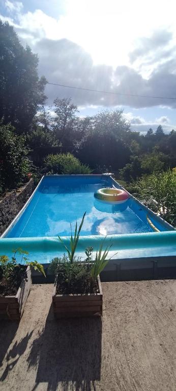 une grande piscine bleue avec deux plantes en pot dans l'établissement La chouette, à La Malonie
