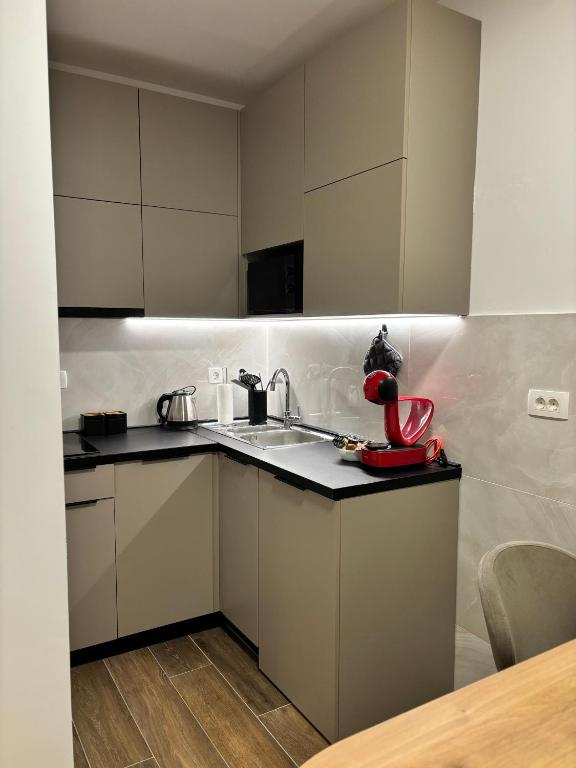 Kuchyň nebo kuchyňský kout v ubytování Apartman u centru Kolasina sa garazom