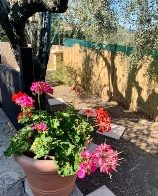 un pot de fleurs assis à côté d'une clôture dans l'établissement Charmant duplex, à Nice