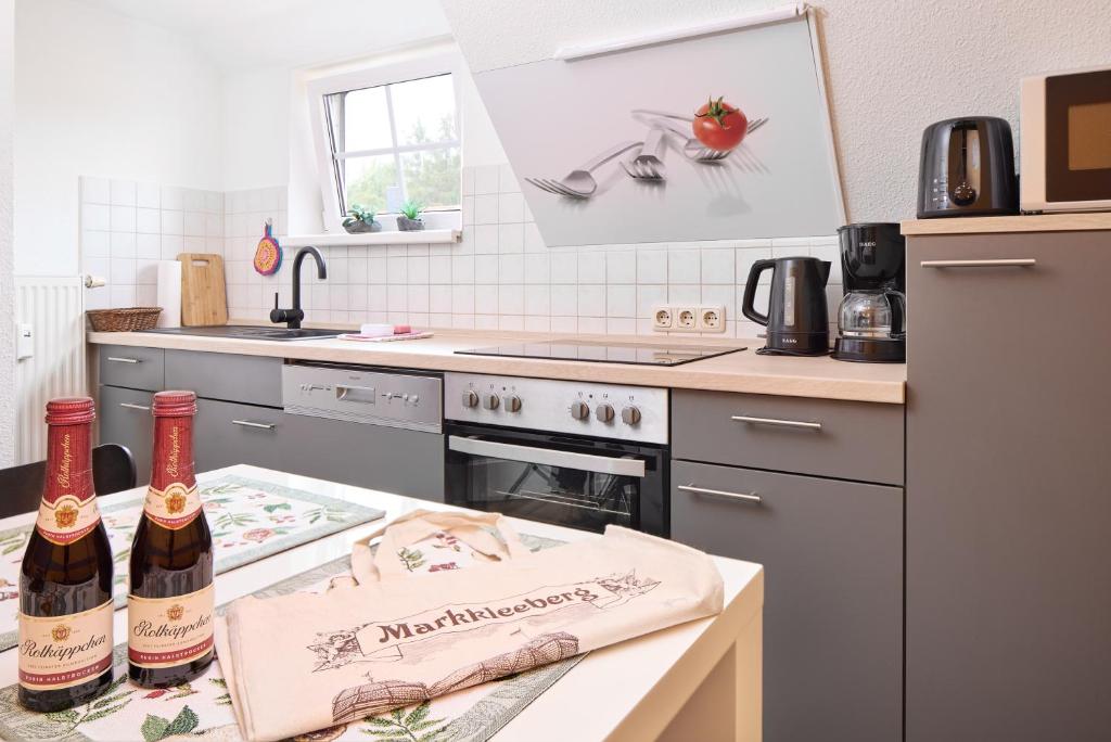 Kuchyň nebo kuchyňský kout v ubytování Ferienwohnung Leipzig Süd
