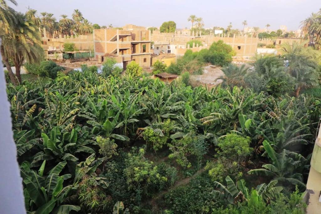 Zahrada ubytování Luxor View Hostel