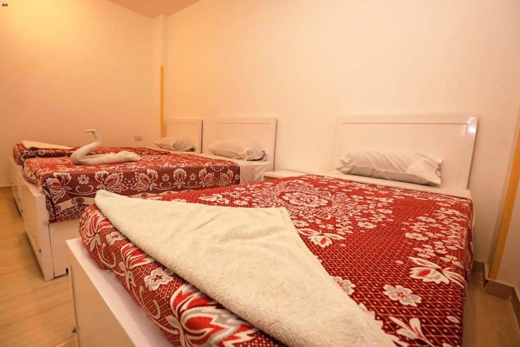 Postel nebo postele na pokoji v ubytování Luxor View Hostel