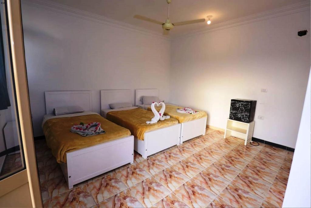 Postel nebo postele na pokoji v ubytování Luxor View Hostel