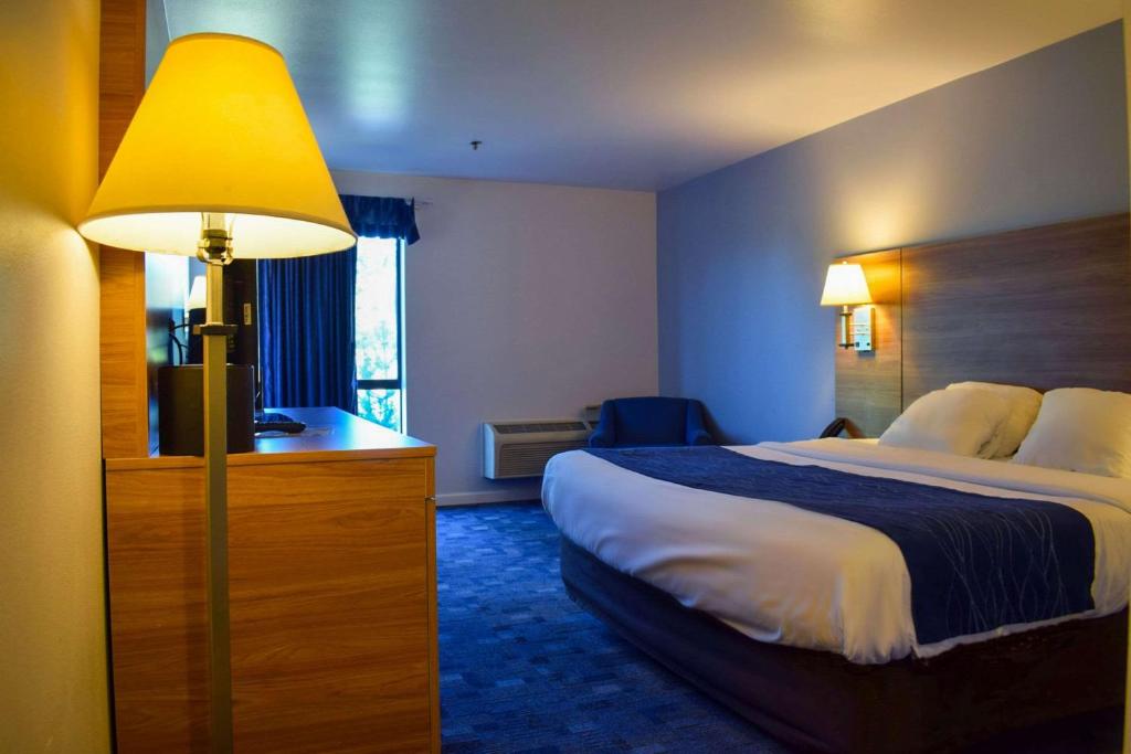 a hotel room with a bed and a lamp at Comfort Inn Bellingham in Bellingham