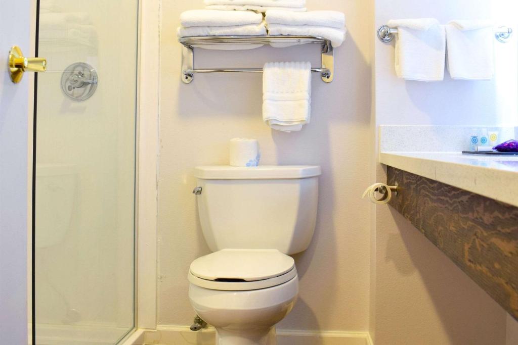 a bathroom with a toilet and a shower and towels at Comfort Inn Bellingham in Bellingham