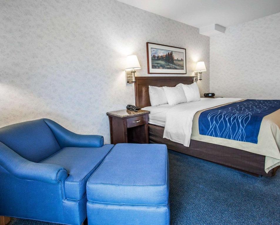 a hotel room with a bed and a blue chair at Comfort Inn Bellingham in Bellingham