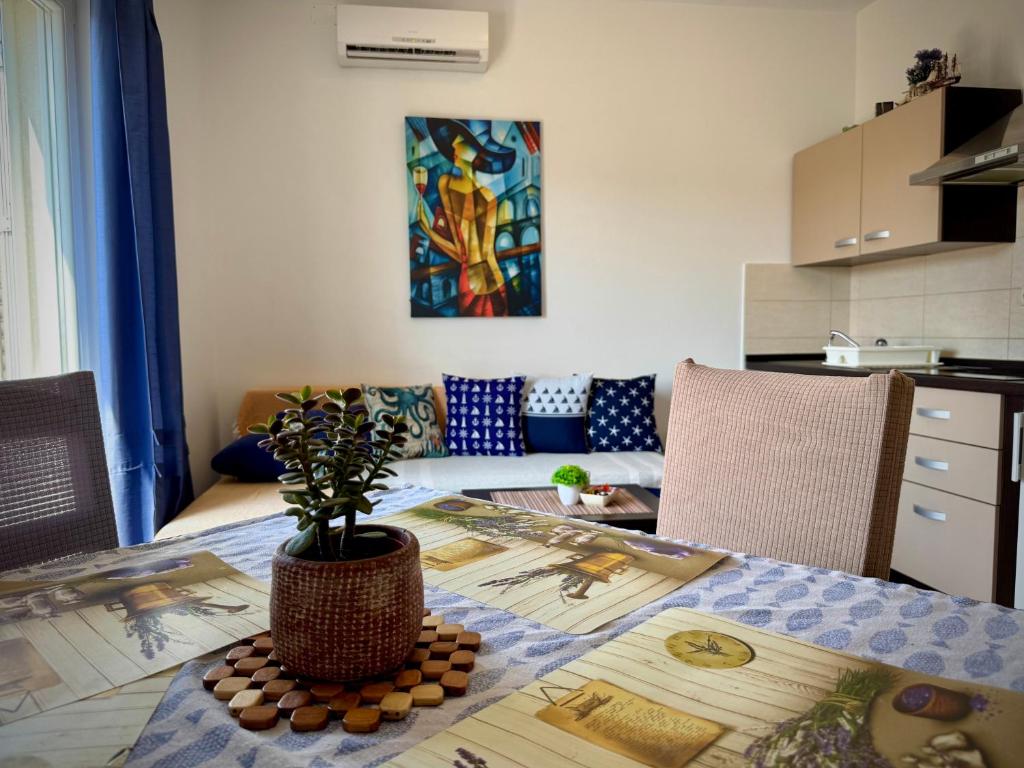 a kitchen with a table with a potted plant on it at Apartments Maričić Rab Island in Rab