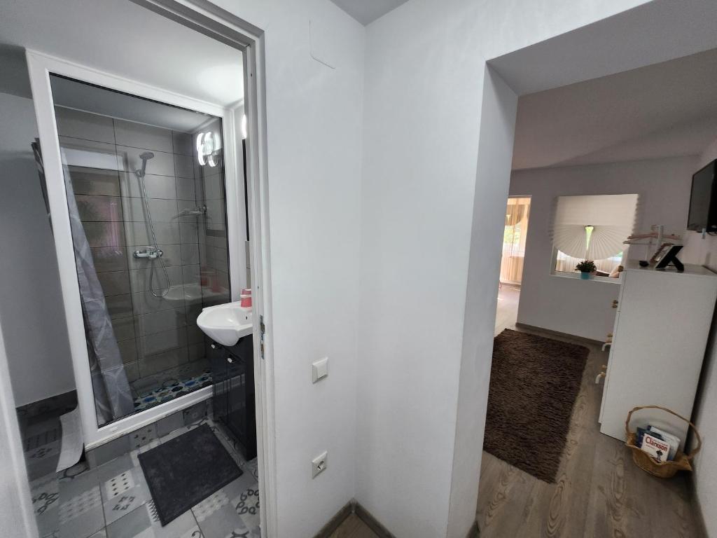 Koupelna v ubytování Casa Turta Dulce