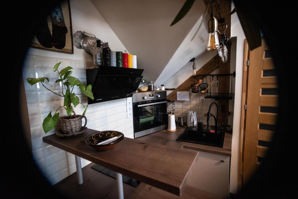 A kitchen or kitchenette at Treehouse apartment