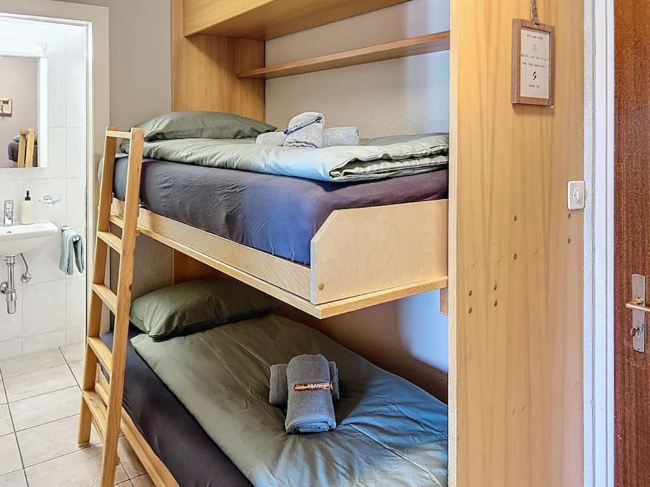 Nendaz Olympic Ski-In Ski-Out - Resim 12