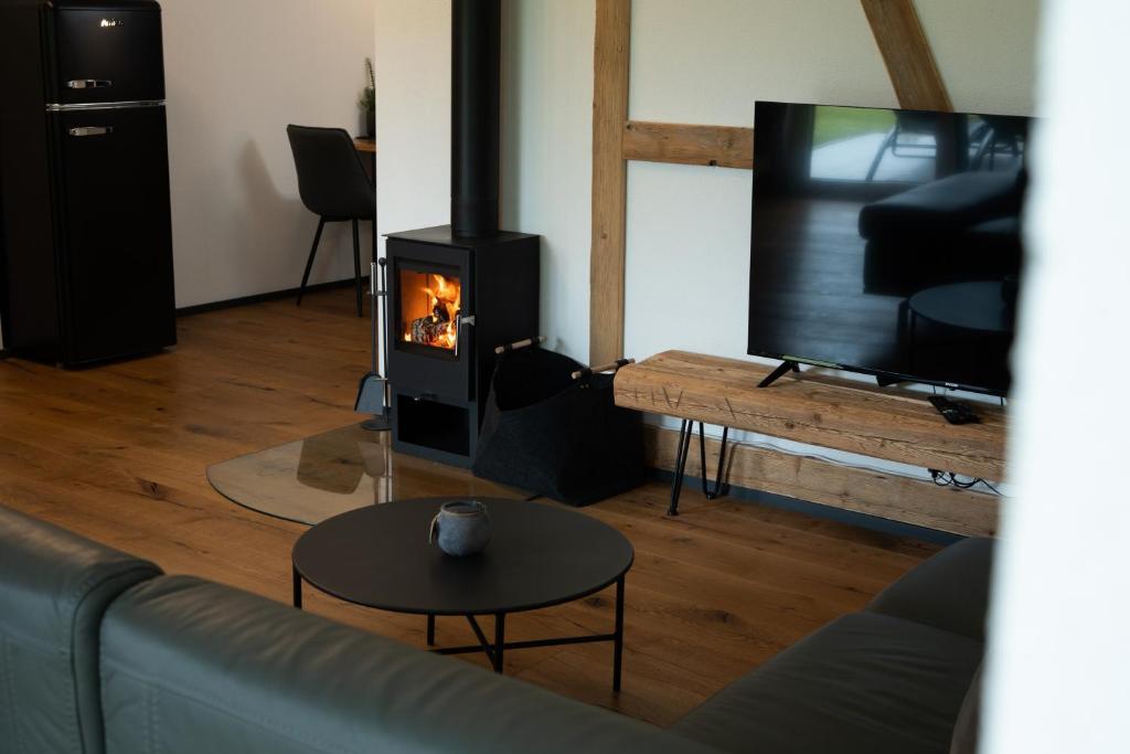 TV a/nebo společenská místnost v ubytování Luxusferienwohnung mit Sauna - NEUBAU