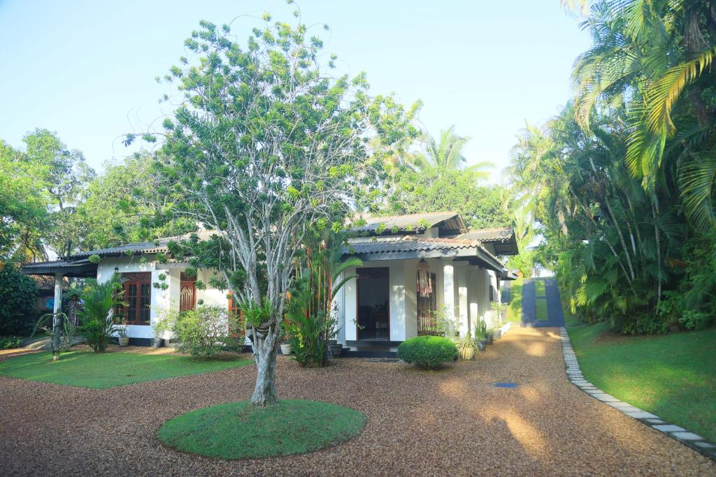 Κήπος έξω από το Villa Green Paradise