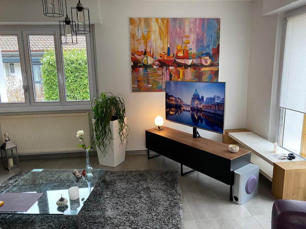 TV a/nebo společenská místnost v ubytování Gîte Le Cosy, à 2 min de Colmar