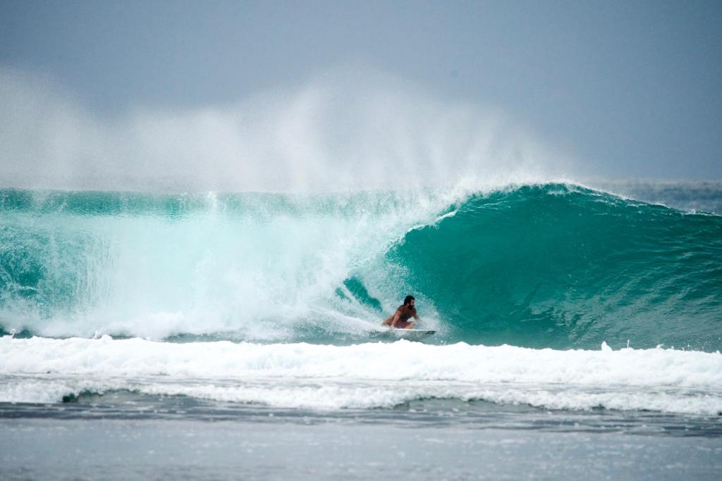 Hosté ubytování Krui Surfing
