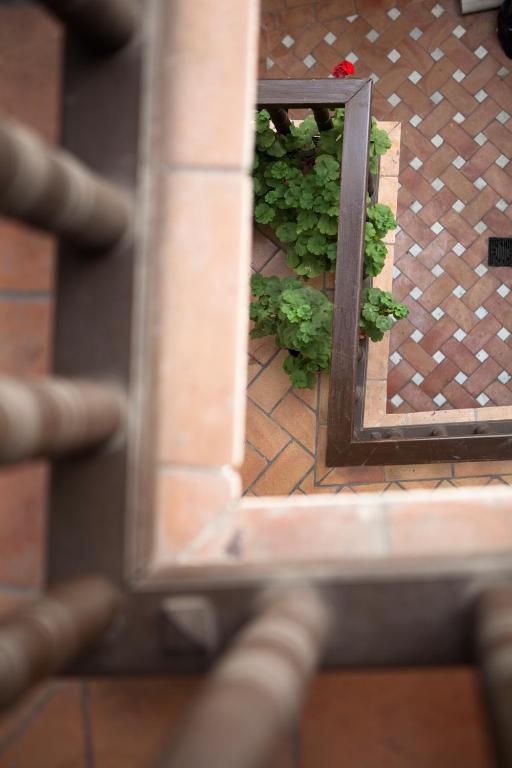 Casa del Capitel Nazarí - Resim 14