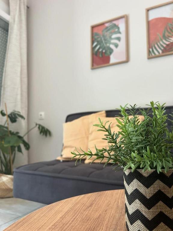Posezení v ubytování G&S cosy home