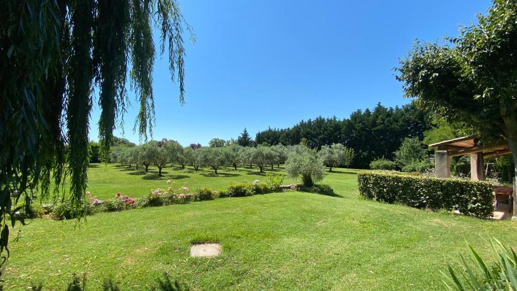 un champ herbeux avec des arbres et des buissons dans un parc dans l'établissement Feelyn art, à Puyvert